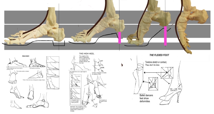 BeginnersFashionShoes-Feet-Anatomy