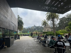 DeYoung Museum Cafe